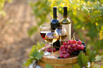 Tasty wine on wooden barrel on grape plantation background