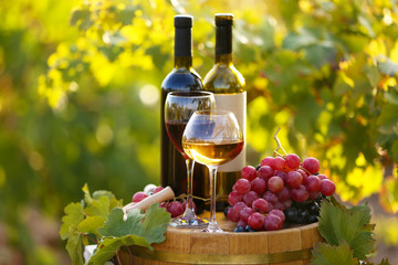 Tasty wine on wooden barrel on grape plantation background