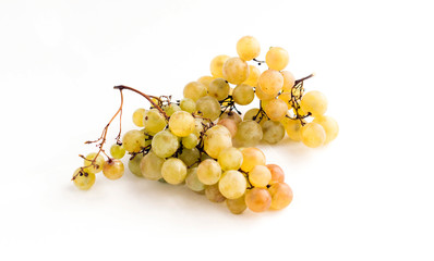 Twigs green ripe grapes