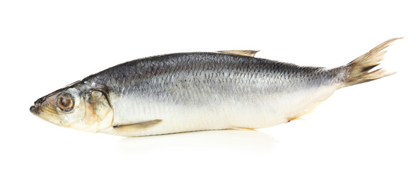 Fresh herring fish isolated on white
