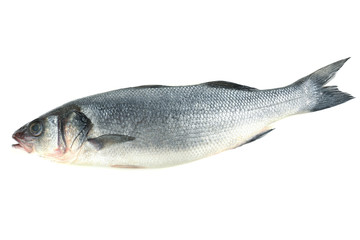 Fresh fish isolated on white
