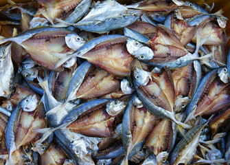 Dried fish, seafood product, Vietnamese food