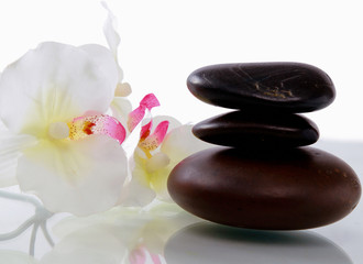 bottles of essential oil and set of stones with flower
