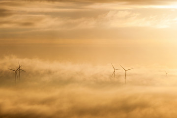 Fototapeta na wymiar Wind powers in morning mist
