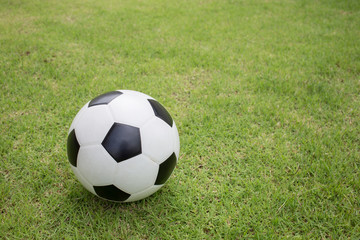 Fototapeta premium soccer ball on green grass