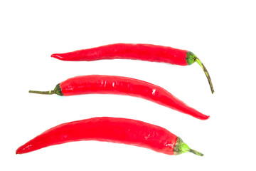 Hot red chili or chilli pepper isolated on white background.