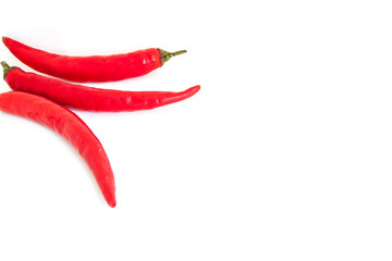 Hot red chili or chilli pepper isolated on white background.