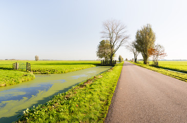 Country road next to a ditch