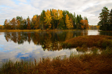 Scenic view of a lake in autumn