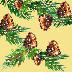 Obraz premium Fir with cones