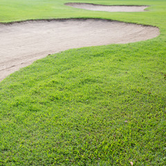 sand bunker and green grass of golf course