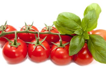 grappe de tomates basilic