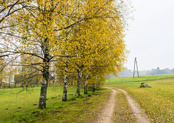 Autumn in contryside of Vidzeme region of Latvia