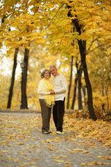 Fototapeta premium Cute elderly couple