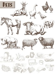 farm animals