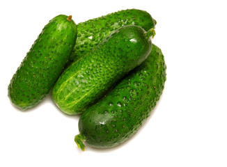 Cucumber