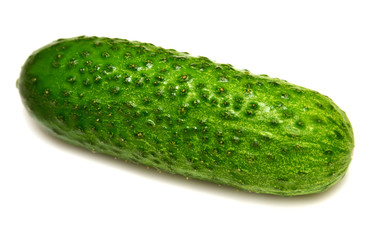 Ripe cucumber