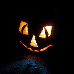 Fototapeta premium Halloween pumpkin