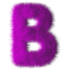 Purple shag B letter isolated on white background