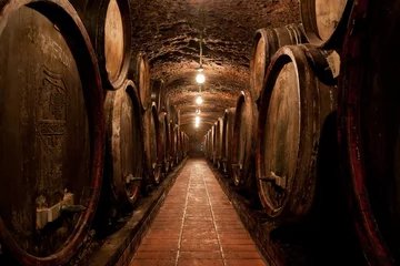Crédence de cuisine en verre imprimé Bar Barrels in a hungarian Wine cellar