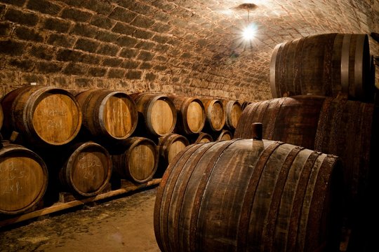 Barrels in a hungarian wine cellar