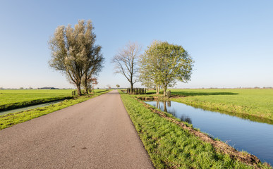 Fototapeta na wymiar Dutch polder landscape early in the morning