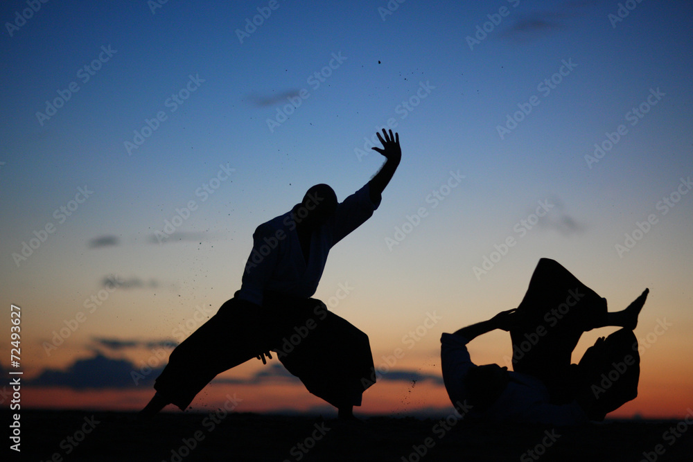 Wall mural Martial art masters