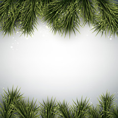 Christmas background with spruce branches.