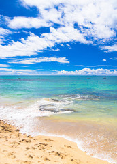 Sunshine Surf Vacation Wallpaper