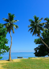 Horizon Coconut Beauty