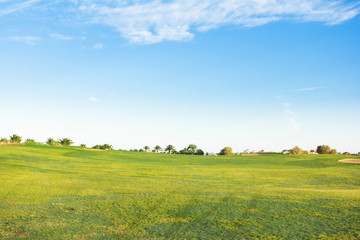 Golf Landscape Under Sun