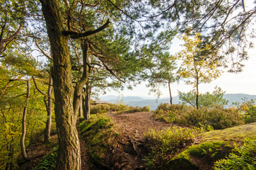 Pfälzer Wald: Felslandschaft in Morgensonne :)