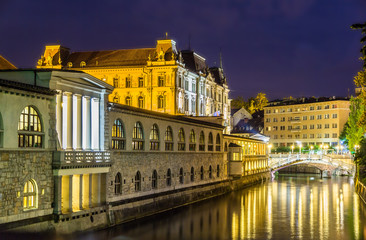 Fototapeta na wymiar Night view of Ljubljana - Slovenia