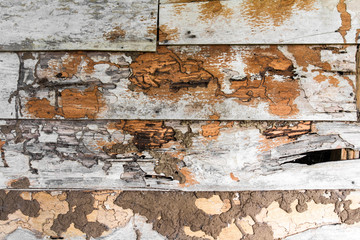 Old wooden wall surface decay and termites damaged traces.