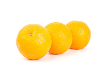 Navel orange fruit