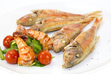 grilled fish with shrimp salad