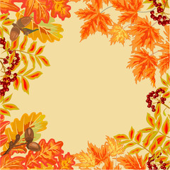Frame from autumn leaves vector
