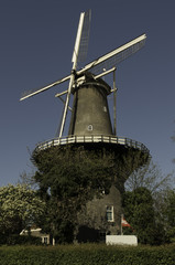 Duthc windmill