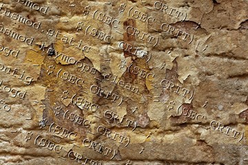 html source codes