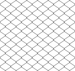 Fototapeta premium Seamless wire mesh