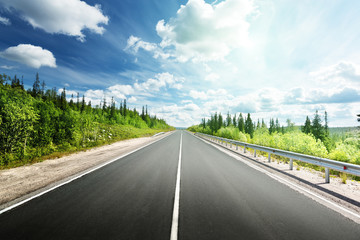 road in north forest