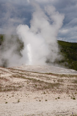 Old Faithful