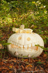 Halloween Kürbis mit Giftpilzen im Wald
