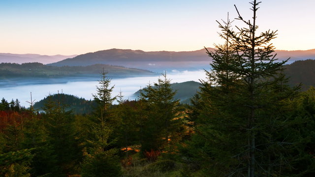 Mountains and Spruce and Fog. Time Lapse