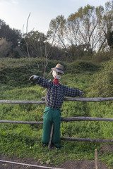 Scarecrow in a vegetable garden in a countryside