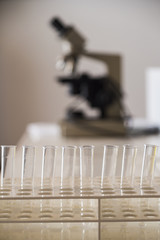 Microscope and test tubes