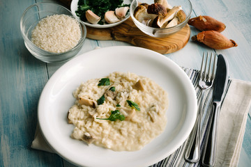 Risotto with porcini mushrooms © Stillkost