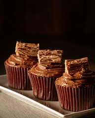 Rich Chocolate Cakes