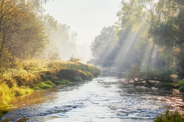 Fototapeten Frühling Morning summer river  © Kushch Dmitry