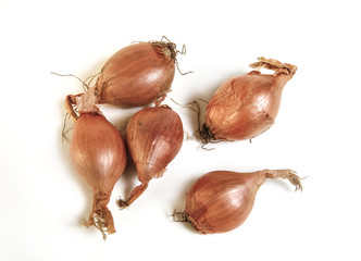 Shallots